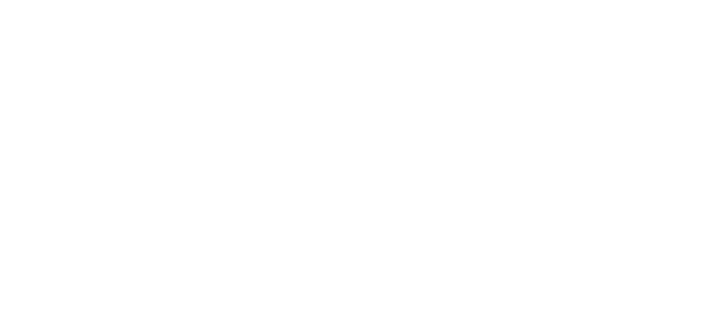 Pilsen Voice alias PiVo